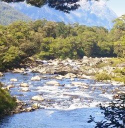 milford track river