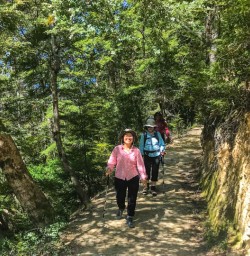 Mount Crichton hike