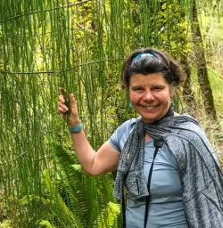Native bush Pororari Loop