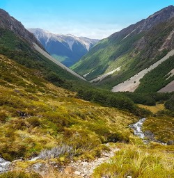 Nelson Lakes National Park Valley