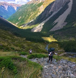 Views down the Cascade Falls Track