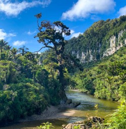 Paparoa National Park