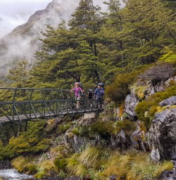 Passing bridge at Nelson Lakes National Park river, Tasman New Zealand