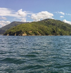 Picton at Marlborough Sounds, New Zealand