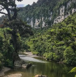 Porarari River at Paparoa National Park, West Coast New Zealand