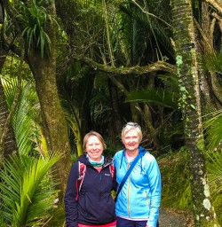 Pororari loop forest