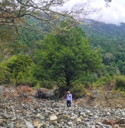 Rock scramble Angelus Circuit