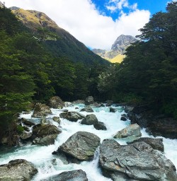One of the many pristine rivers we see walking on the Routeburn Track