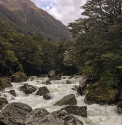 Routeburn track river, Otago New Zealand