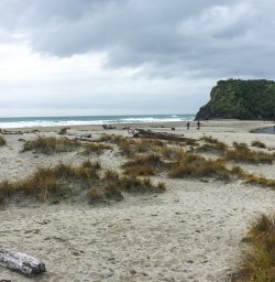 Ship Creek, West Coast New Zealand