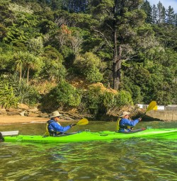 Starting Kayaking from Lochmara Lodge, Marlborough Sounds New Zealand