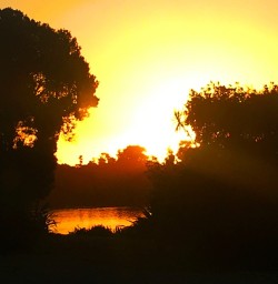 Nothing beats a West Coast sunset - this is the view from Martins Bay Lodge