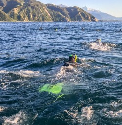 Swimming with dolphins at Kaikoura, Canterbury New Zealand
