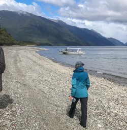 Walking along Hollyford river, Fiordland New Zealand