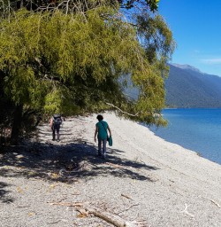 Walking along Hollyford river, Fiordland New Zealand