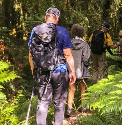 Walking at Martins Bay, Fiordland New Zealand