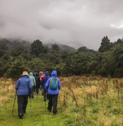 Walking at Martins Bay, Fiordland New Zealand