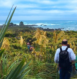 Walking into the stunning and remote Martins Bay