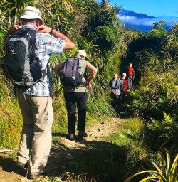The team winding their way through the beautiful bush