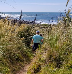 Walking at Martins Bay, Fiordland New Zealand