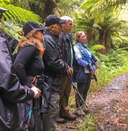 Walking at Martins Bay, Fiordland New Zealand