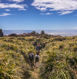 Walking at Martins Bay, Fiordland New Zealand