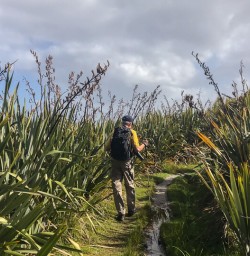Walking at Martins Bay, Fiordland New Zealand