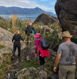 Walking at Martins Bay Seal Colony, Fiordland New Zealand