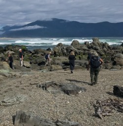 Walking at Martins Bay, Fiordland New Zealand