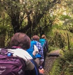 Walking the Milford Track, Fiordland New Zealand