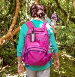 Walking at Milford Track, Arthur river, Fiordland New Zealand
