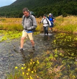 Authentic hiking the kiwi way! Nelson Lakes National Park