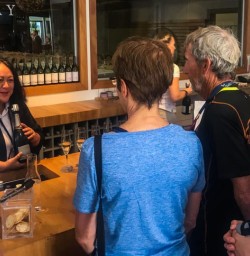 Wine Tasting at Cloudy Bay Vineyards, Blenheim Marlborough New Zealand