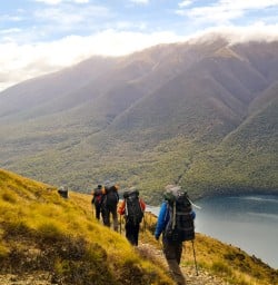 Bushline track views copy