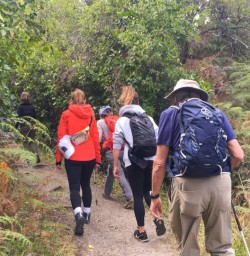 9. Guests walking Mou Waho Island