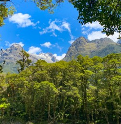 9. Mountain views from Hollyford Track