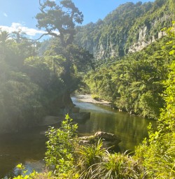 9. Pororari River bend