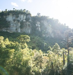 9. Views from Pororari River Track