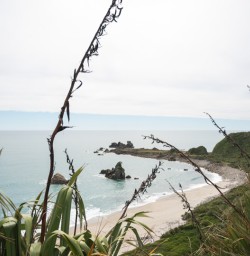 9. Views of Cape Foulwind