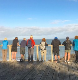 9. West Coast lookout