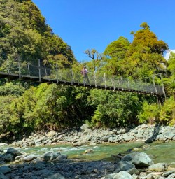 9. One person swing bridge crossing Hollyford Track