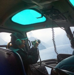 Helicopter Tour at Milford Sound