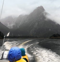 Boating Tour at Milford Sound