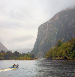 Boating Tour at Milford Sound