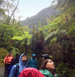 Hiking Milford Track