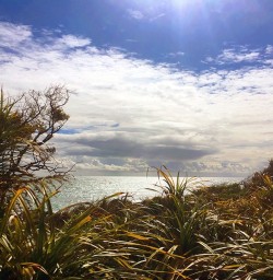 Martins Bay