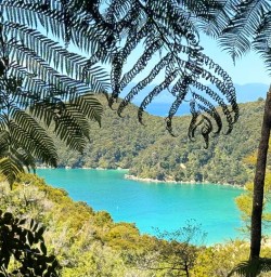 Abel Tasman National Park MP16FEB26