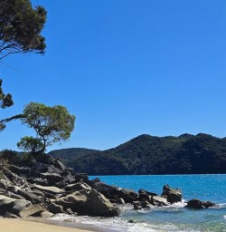 Abel Tasman National Park RM23FEB26