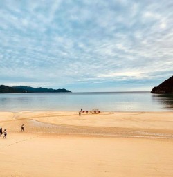 Abel Tasman National Park guided kayaking tour 24MAR25