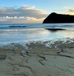 Abel Tasman National Park walking tour G10MAR25